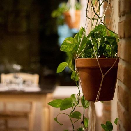 הוילה צ'זנה Agricola Casa Cucina Bottega מראה חיצוני תמונה