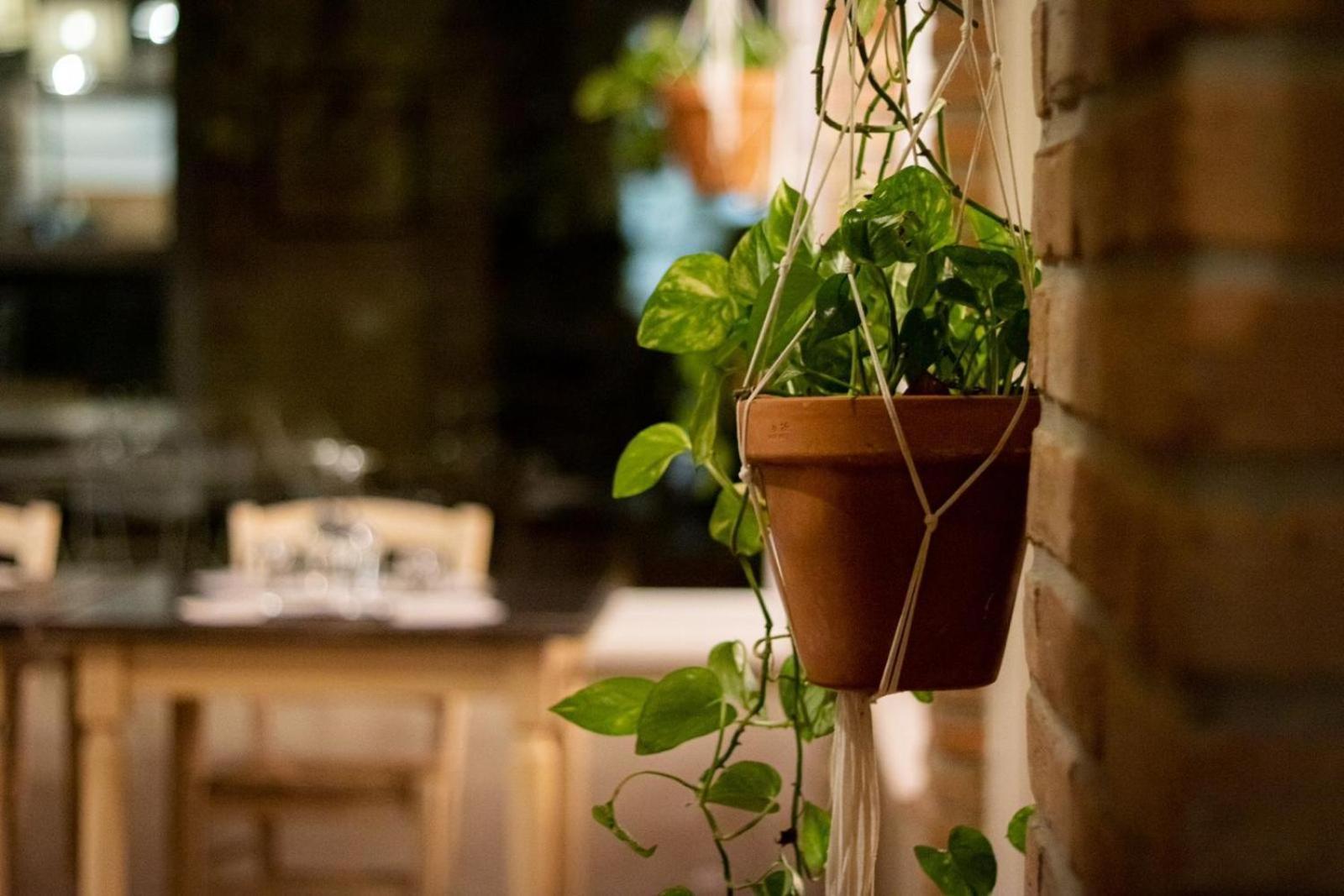 הוילה צ'זנה Agricola Casa Cucina Bottega מראה חיצוני תמונה
