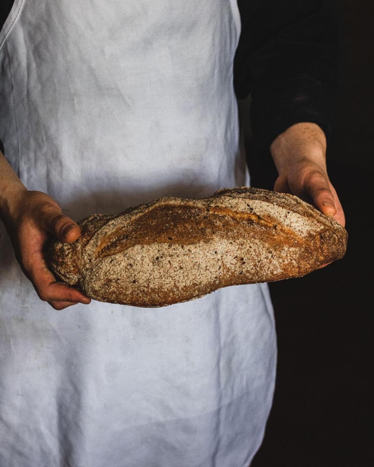 הוילה צ'זנה Agricola Casa Cucina Bottega מראה חיצוני תמונה